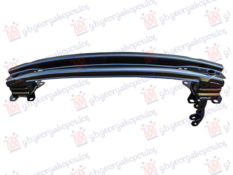 SINA ZADNJEG BRANIKA