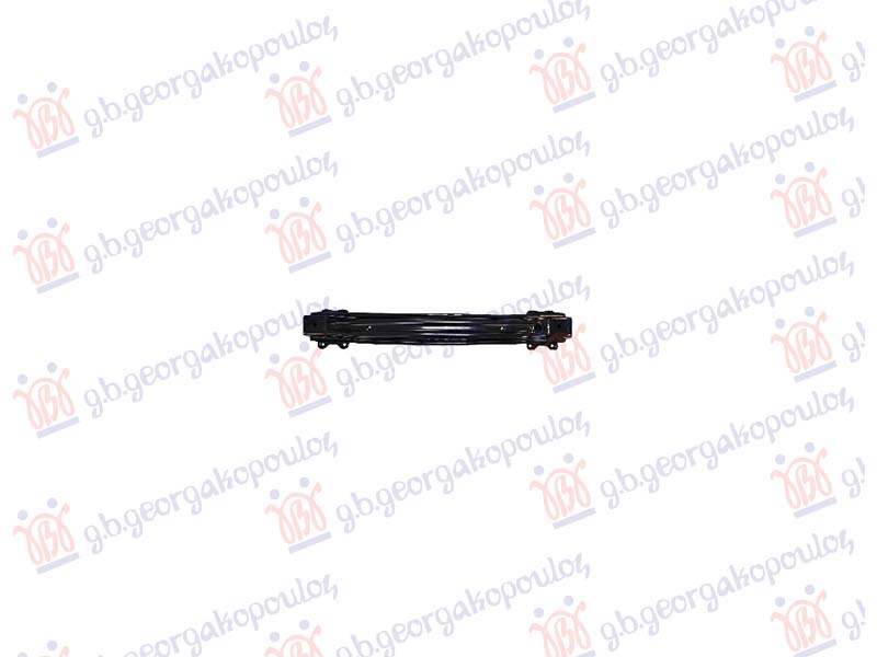 SINA ZADNJEG BRANIKA